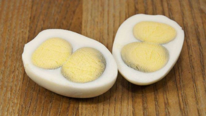 Двухжелтковые яйца