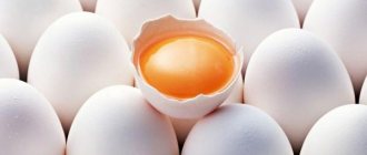 Как правильно хранить яйца в домашних условиях – способы, сроки хранения