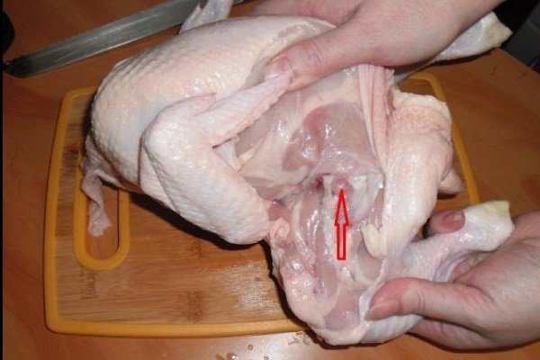 Как правильно разделывать курицу?