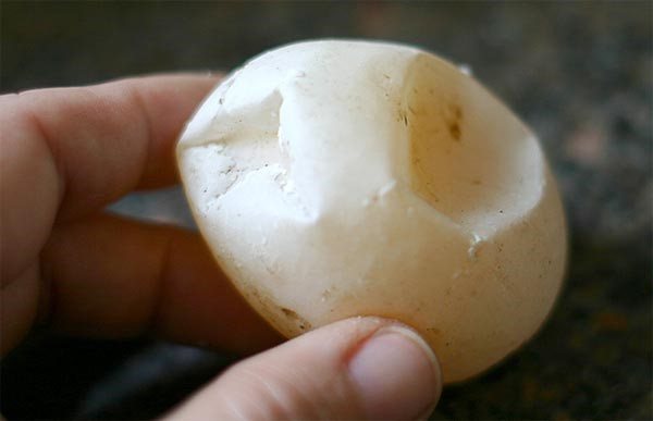 Куры несут деформированные яйца с мягкой скорлупой