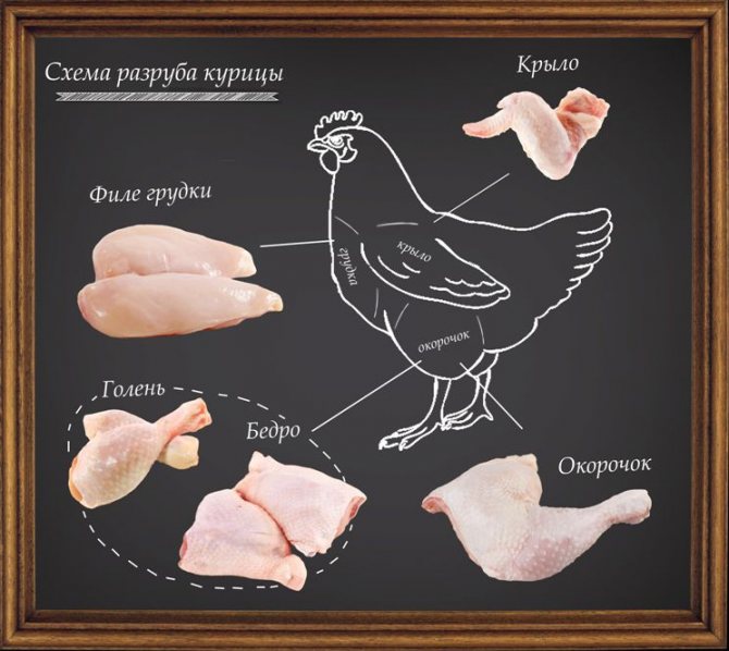 Общая схема раздела курицы