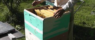 Пчеловождение по методу Цебро