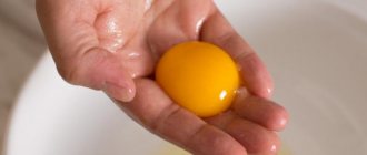 Польза яичного желтка