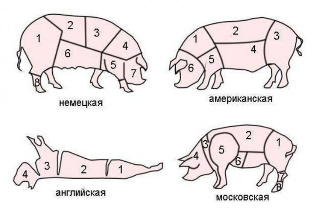 Разделка свиной туши: схема, фото