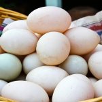 Утиные яйца: польза и вред, как готовить