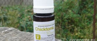 Витаминно-аминокислотный комплекс Chiktonik разработан испанской фирмой INVESA