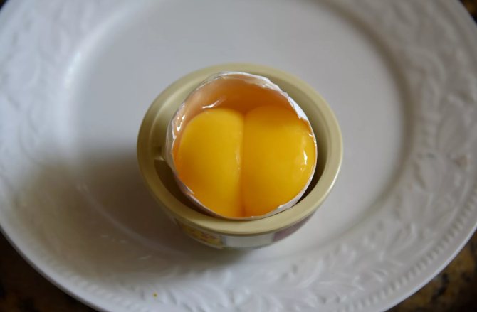 Яйцо с двумя желтками