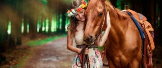 женщина и лошадь